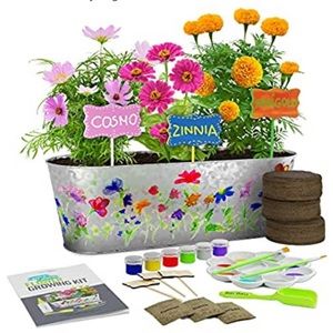 🌸Paint and plant flower growing kit🌸